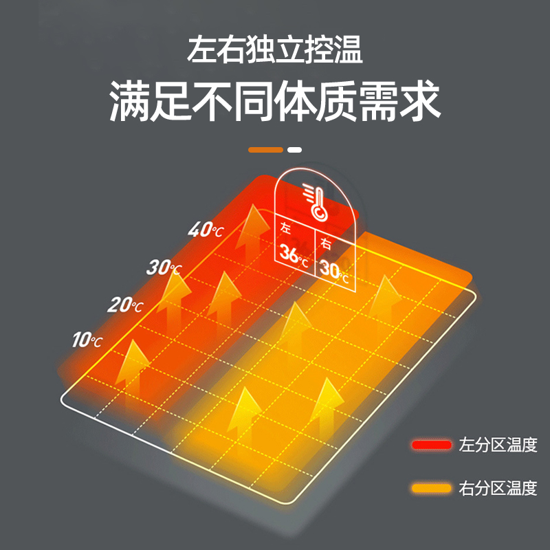 电褥子双人家用双控开关单人加热丝高档日本老人电热毯官方旗舰店