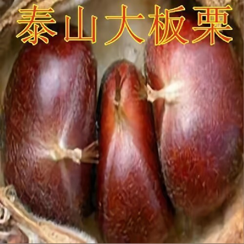 直播间一物一拍改价专用链接 - 图2