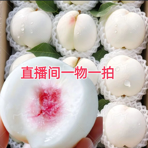 直播间一物一拍改价专用链接 - 图0