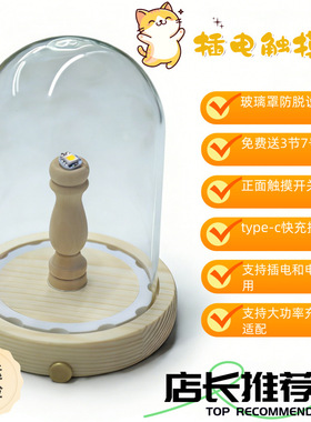 type-c充电发光海胆灯充电海胆小