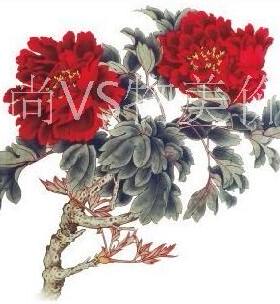 新款防水纹身贴纸 背部大贴纸 古装拍摄贴花 红色牡丹花 纹身贴