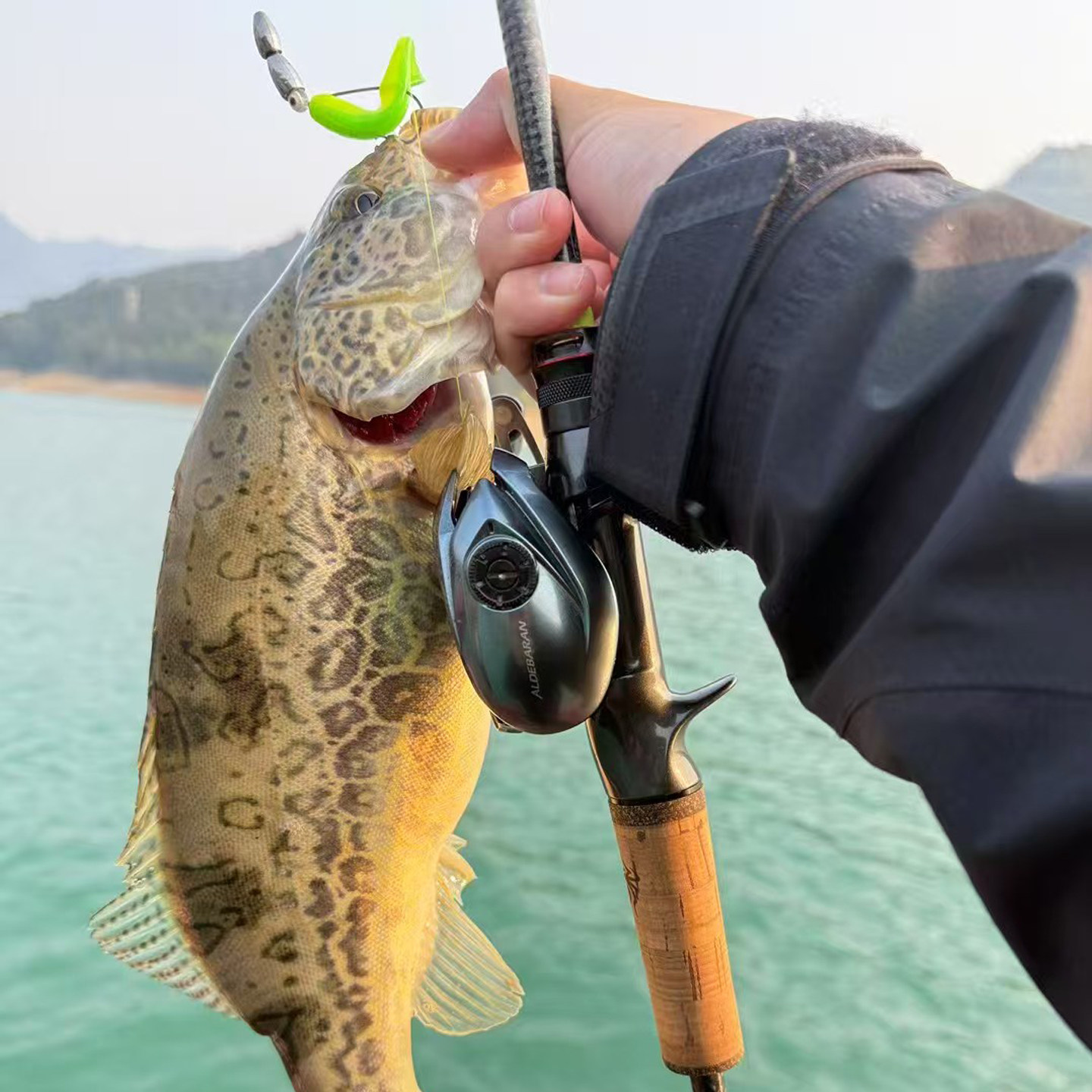 湛道旗舰 652LX 专业竞技 超高性能 鳜鱼路亚竿  精细虫竿1.96米,淘宝优惠券,粉丝福利购,淘宝优惠卷