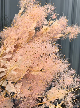 雾中情人永生花干花烟花树黄栌装饰婚礼布置家居软装花材朦胧花材