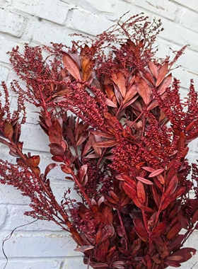 山里红婚礼干花手捧花