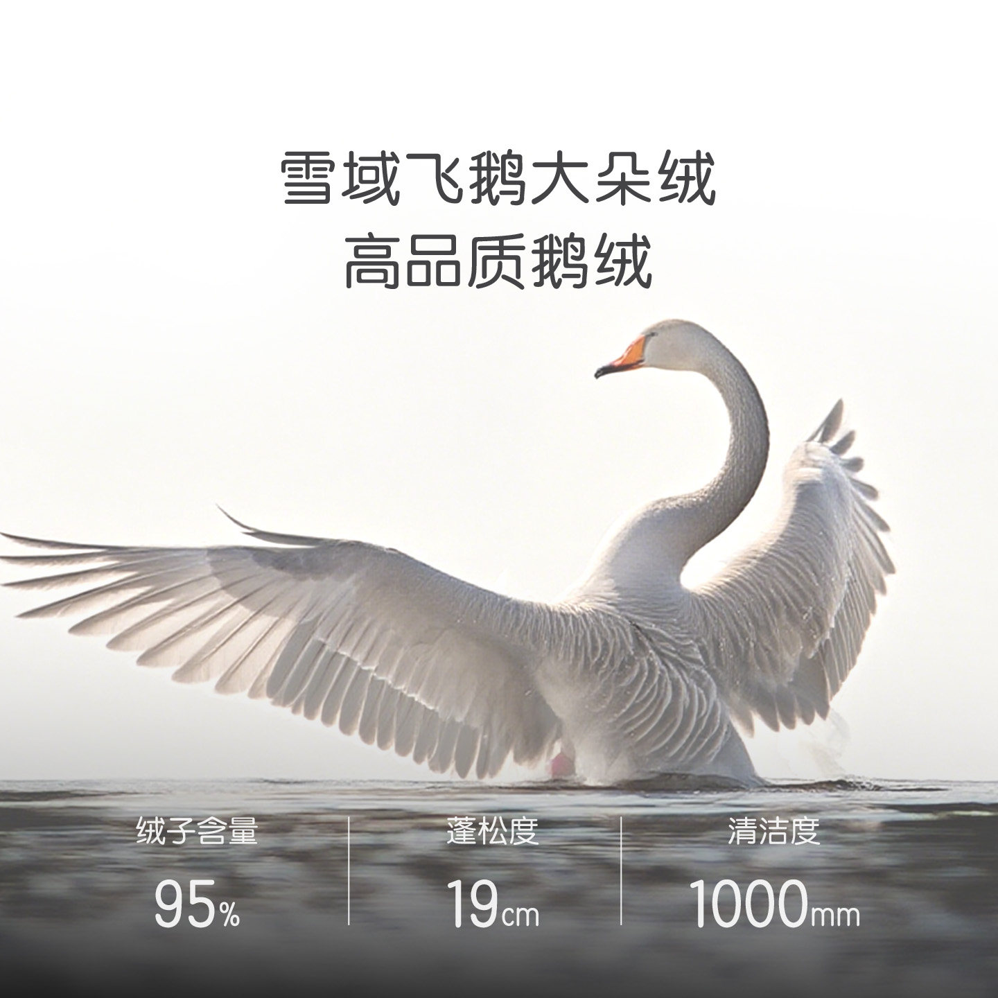 罗莱儿童秋冬新品被子A类全棉95鹅绒被可水洗四季被冬被羽绒被,淘宝优惠券,粉丝福利购,淘宝优惠卷