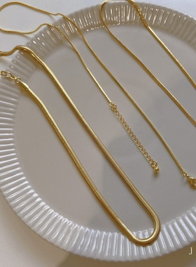 18K厚镀金粗细扁蛇骨链欧美ins风延长项链