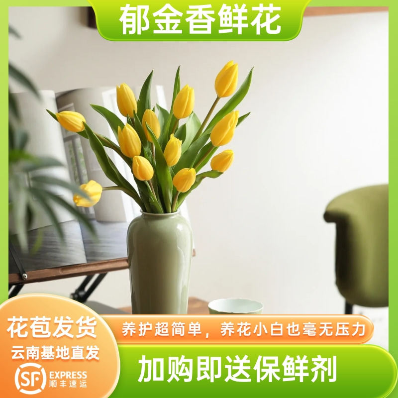 a级粉色郁金香鲜花水培插花云南直发鲜切花手捧花花束贝尔郁金香,淘宝优惠券,粉丝福利购,淘宝优惠卷