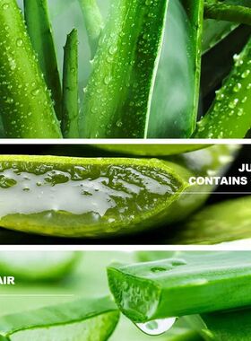 faceexfoliator去角质凝露aloe