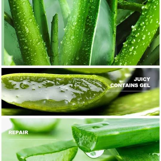 Peeling Gel Exfoliating Aloe Vera face exfoliator去角质凝露