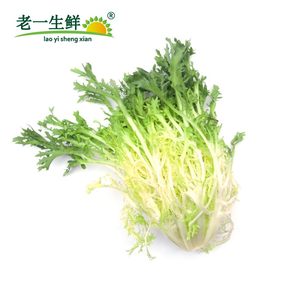 【老一生鲜】新鲜黄心苦叶苦菊生菜狗牙生菜九芽沙拉蔬菜500g