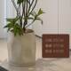 Nordic magnesium clay floor-standing flowerpot with large green plant