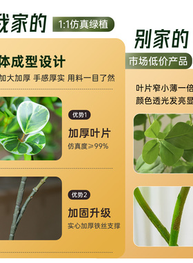【小红书同款】绿植高级仿真植物