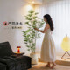 Living room bionic plant bonsai