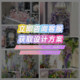 Xiaohongshu’s popular internet celebrity checks in Monet’s garden decoration