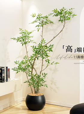 明星同款仿真绿植南天竹
