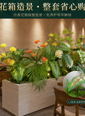 【热销款】高端轻奢永生花造景
