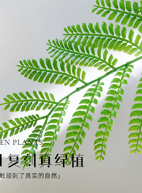 【央ma推荐】仿真绿植蓝花楹