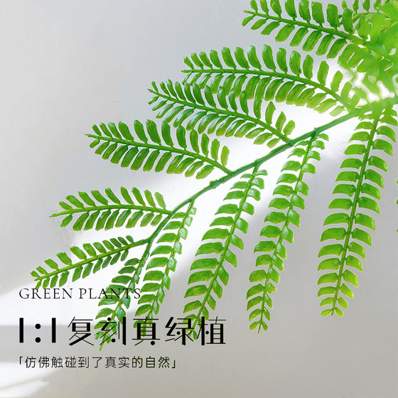 Simulated green plant jacaranda