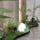 Gardeners recommend plant landscape tape fence decoration