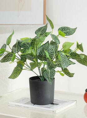 客厅摆件盆栽仿真植物盆景