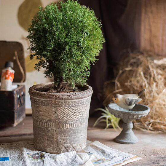 Red pottery flower pots, hanging baskets and vases, retro literature and art
