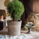 Red pottery flower pots, hanging baskets and vases, retro literature and art