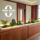 Bionic plant floor-standing ornaments