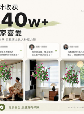 【网红博主推荐】室内仿真绿植
