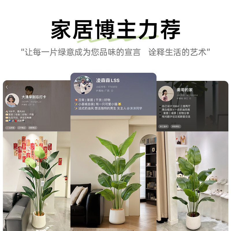仿真绿植天堂鸟高端轻奢装饰室内客厅假树盆栽落地摆件仿生旅人蕉,淘宝优惠券,粉丝福利购,淘宝优惠卷