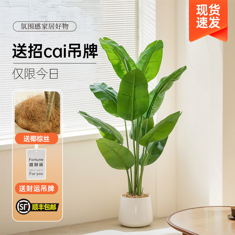 仿真绿植天堂鸟高端轻奢装饰室内客厅假树盆栽落地摆件仿生旅人蕉,淘宝优惠券,粉丝福利购,淘宝优惠卷