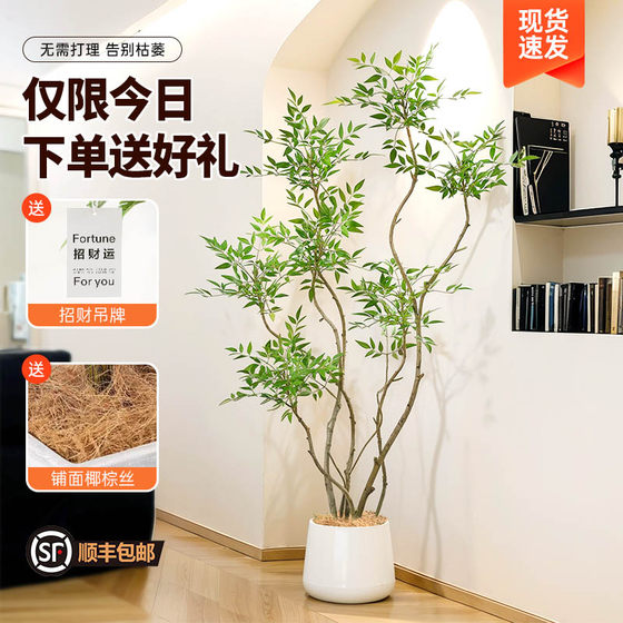 Celebrities’ same model of simulated green plant Nandina bamboo