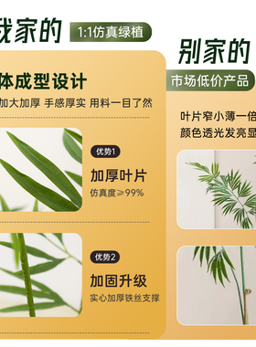 【橱窗爆款】客厅氛围感神器