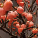 Decorative ceiling persimmon branches wall hanging hanging persimmon branches trunk shopping mall exhibition hall upside down bionic pomegranate apple