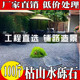 Xiaohongshu blogger recommends landscape stones for landscaping