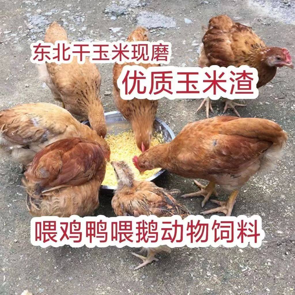 玉米碎粒喂鸡鸭鹅玉米碎粉喂鸡钓鱼打窝产蛋鸡饲料五谷杂粮鸡食料,淘宝优惠券,粉丝福利购,淘宝优惠卷
