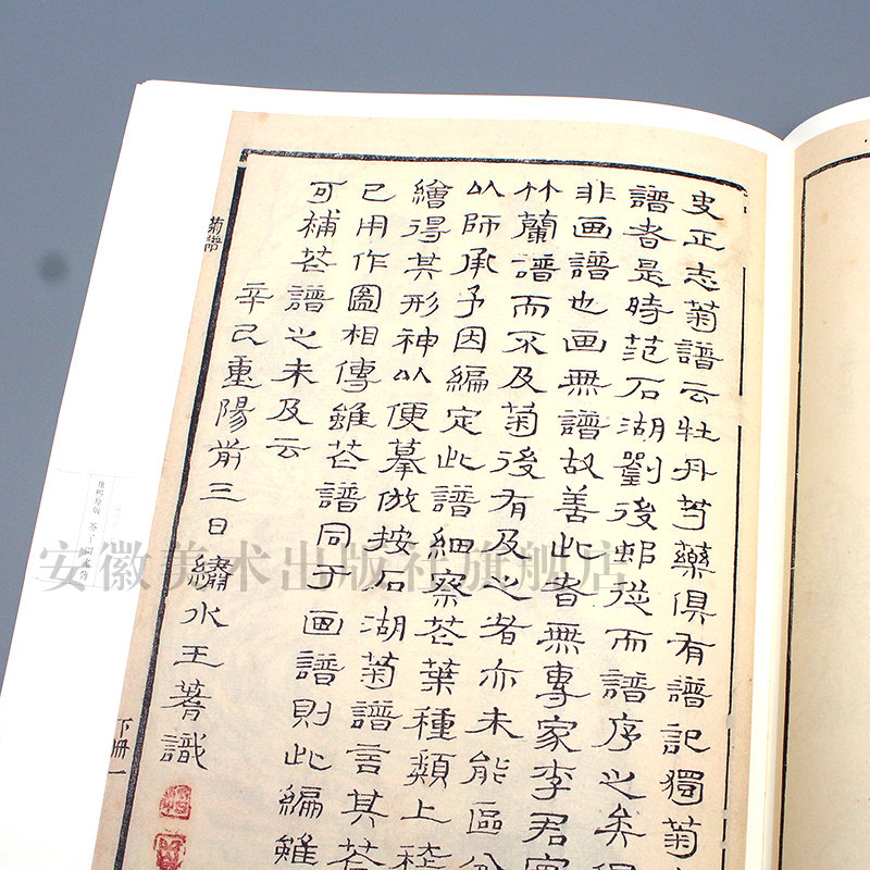 康熙原版芥子园画传花鸟卷 菊谱 康熙版芥子园画谱花鸟国画画册大学美术教材芥子园菊花技法临摹范画传统国画芥子园画集菊谱书
