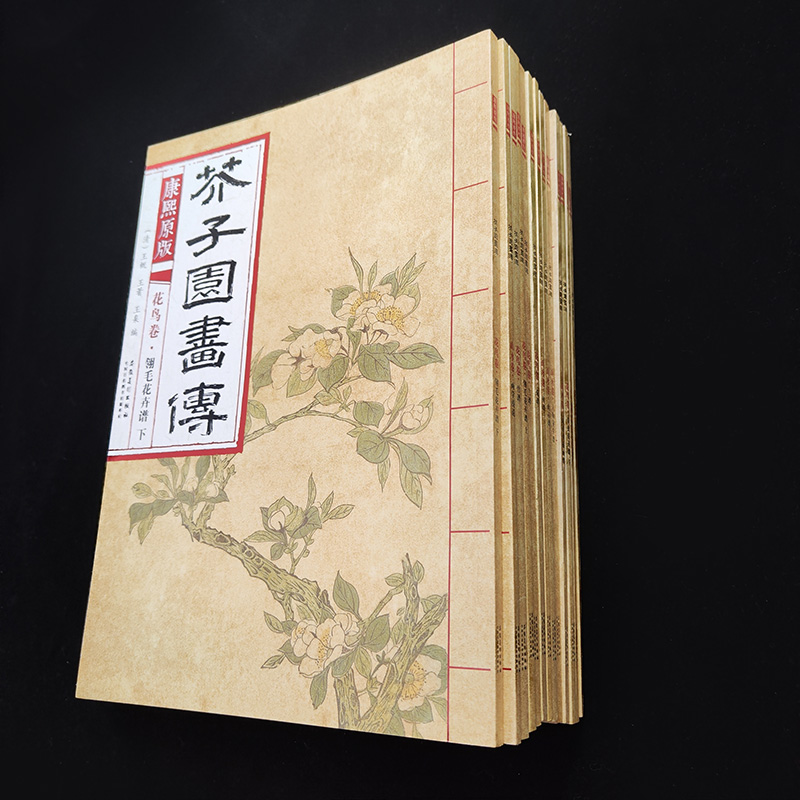 【官方正版】康熙原版芥子园画谱全套13册 芥子园画传临摹梅兰竹菊谱花鸟草虫谱花卉山水卷树谱彩色版大学中国画美术教材书绘画册 - 图3