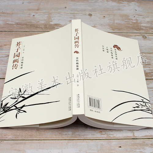 芥子园画传兰竹梅菊谱王概著安徽美术出版黑白版全集画谱国画技法入门临摹教程工艺美术成人传统绘画教程自学写意花卉国画 - 图3