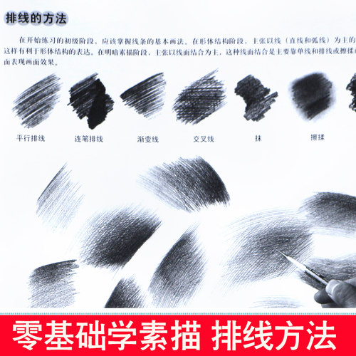 4册素描基础教程人物石膏几何体头像色彩静物线性结构高考艺考铅笔画手绘素描入门自学零基础绘画临摹素描书入门自学零基础 - 图2