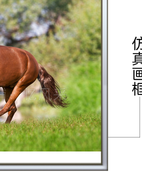 骏马奔腾图开业挂画客厅书房装饰画壁画墙画墙贴自粘床头简约挂画