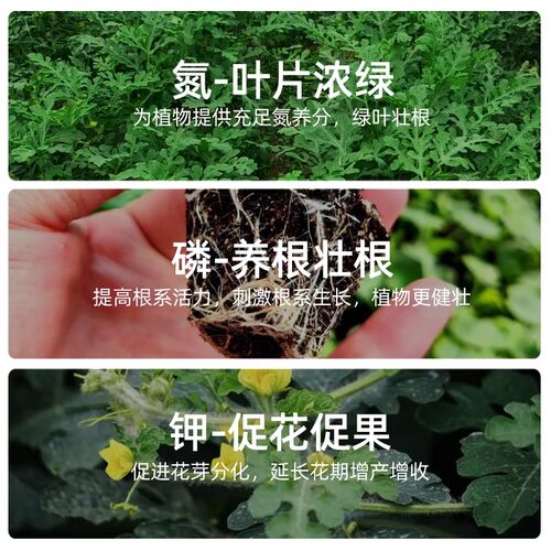 豆粕有机肥料腐熟生物芝麻饼肥天然追肥种菜蔬菜花卉通用基底机肥 - 图2