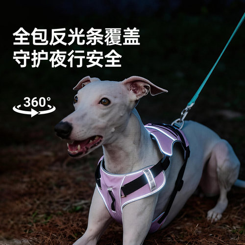 Touchdog它它山系工字型胸背狗狗牵引绳小中大型犬遛狗背带式狗绳 - 图1