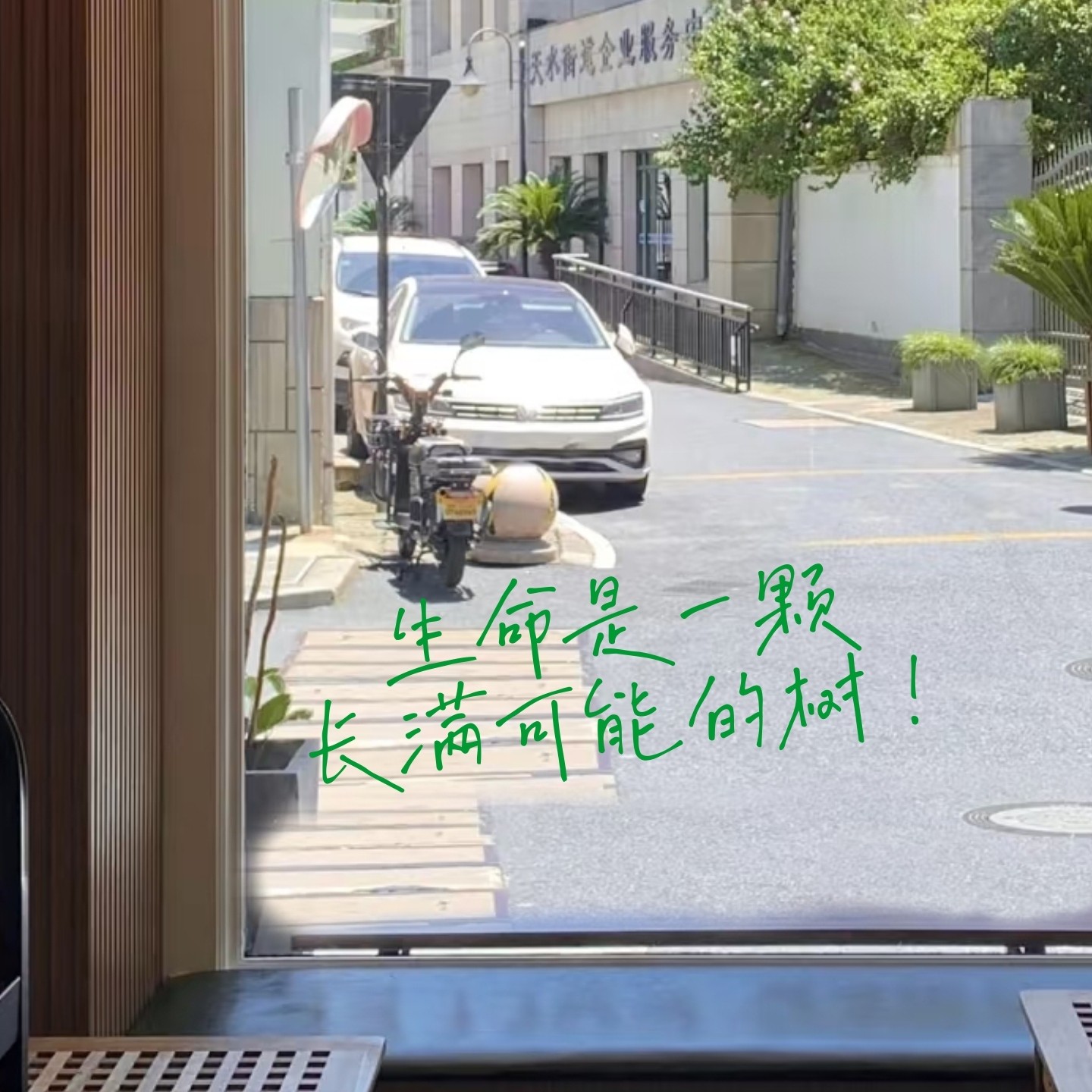 生命是一颗长满可能得树治愈文字咖啡蛋糕店橱窗玻璃镜子装饰贴纸,淘宝优惠券,粉丝福利购,淘宝优惠卷