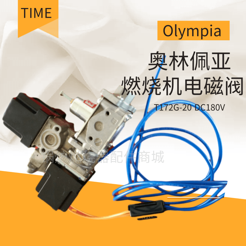 time母火电磁阀T172G-20 DC180V奥林佩亚OV-318燃油Olympia电磁阀 - 图2