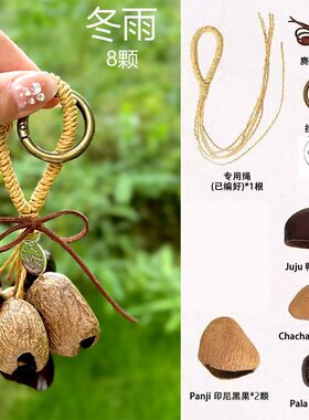 天然果实壳手摇挂铃包挂件手工diy材料包沙龙活动生日教师节礼物