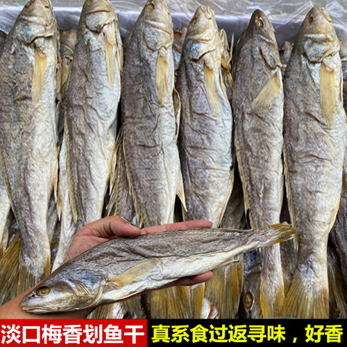 广东三牙梅香黄花咸鱼霉香咸鱼干淡口霉香划鱼香划鱼香茄子煲500g - 图3