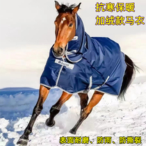 Sweaty winter thickened small pony horse riding anti-chill coat 900D warm horse suit short horse antifreeze conjoined horse blanket resistant to cold