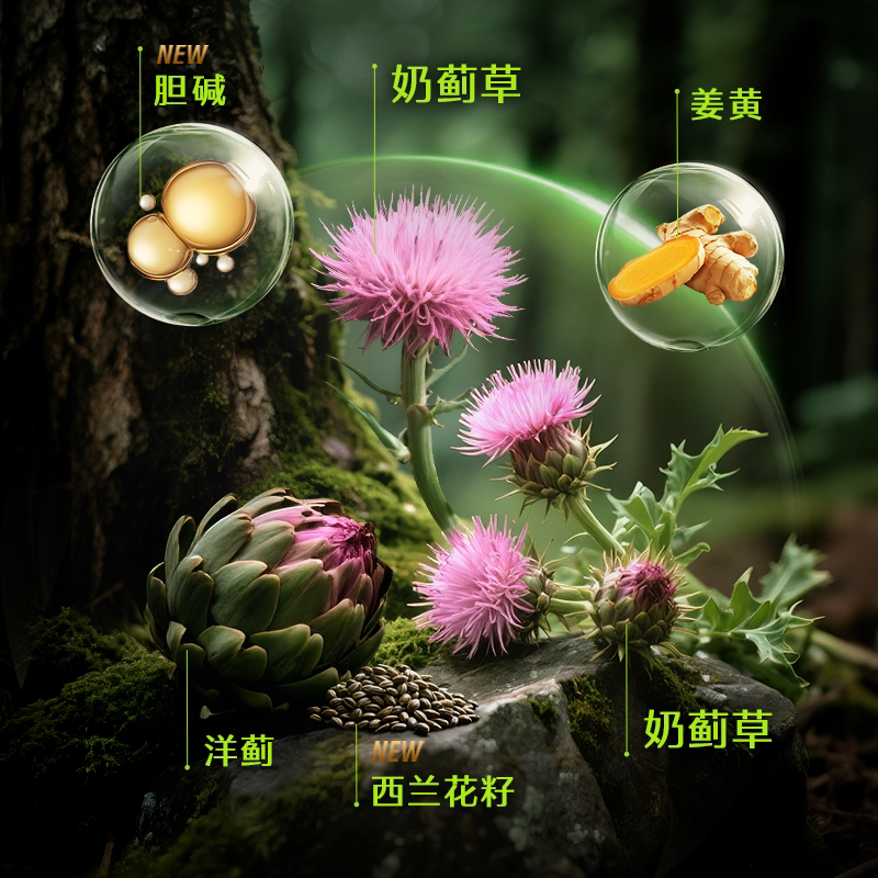 图 3
