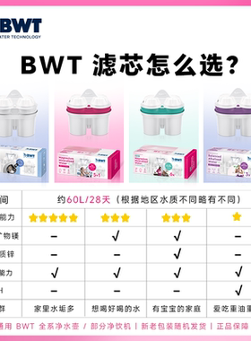 BWT倍世原装进口去垢镁离子滤芯