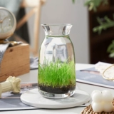 Стеклянный декор из смолы, креативный аквариум, 2 шт, DIY